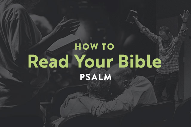 How to Read Your Bible